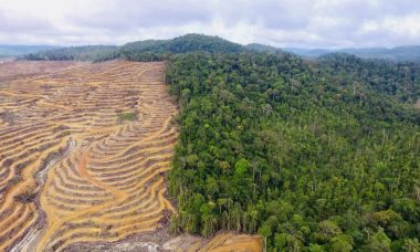 Deforestasi (sumber gambar: jurnalpost.com)