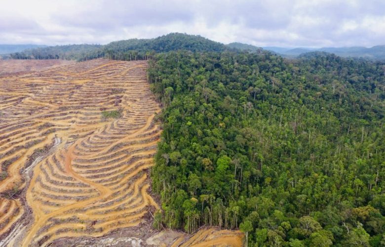 Deforestasi (sumber gambar: jurnalpost.com)