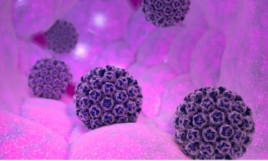 Gambar ilustrasi virus HPV